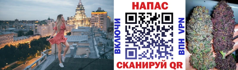 Бошки Шишки SATIVA & INDICA  Купить где  Неман 